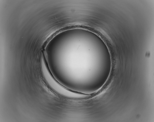 X0000091310969200709071110