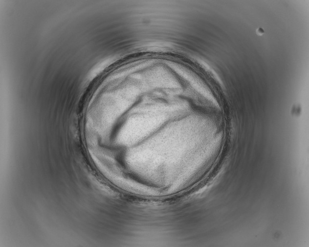 X0000091310970200709071110