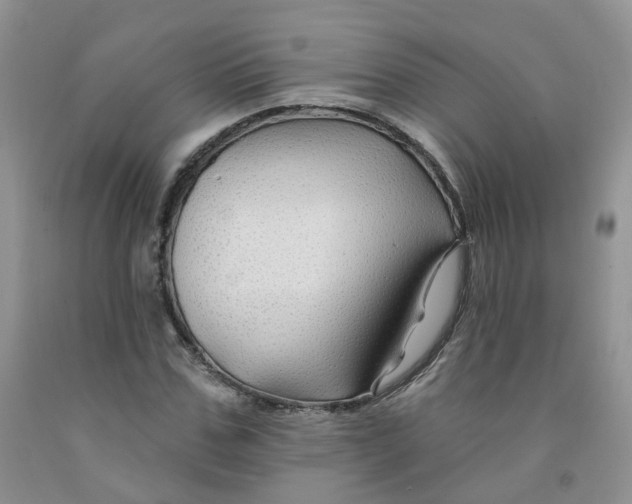 X0000091310971200709071110