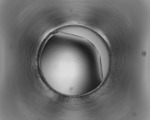 X0000091310972200709071110