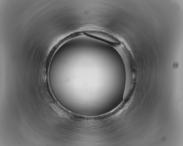 X0000091310973200709071110