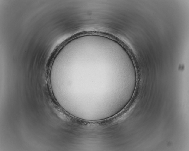 X0000091310974200709071110