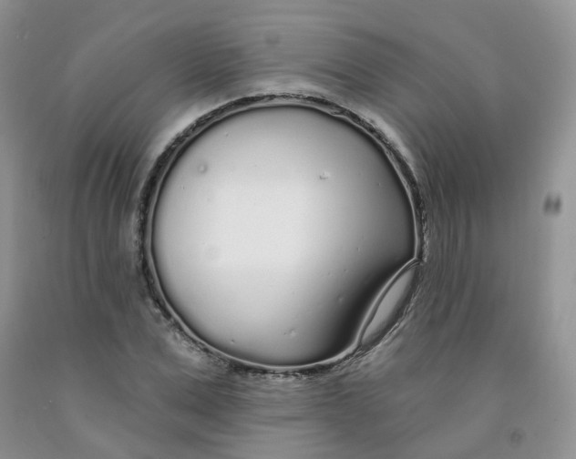 X0000091310975200709071110