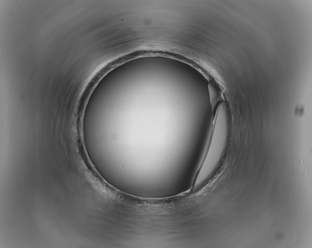 X0000091310976200709071110