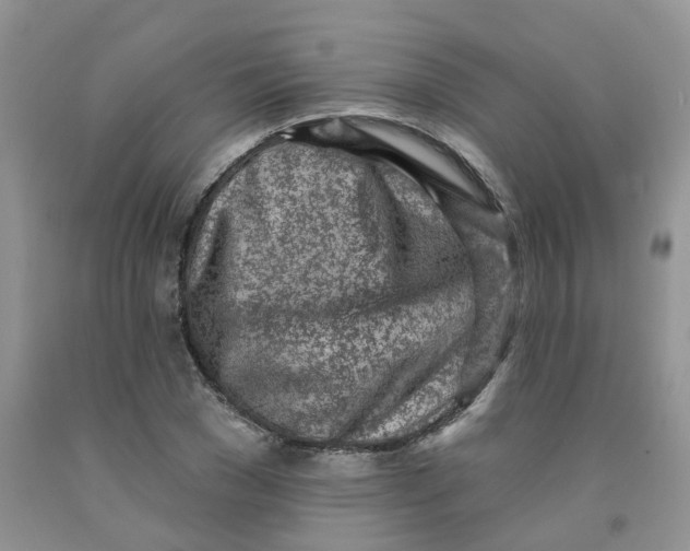 X0000091310977200709071110