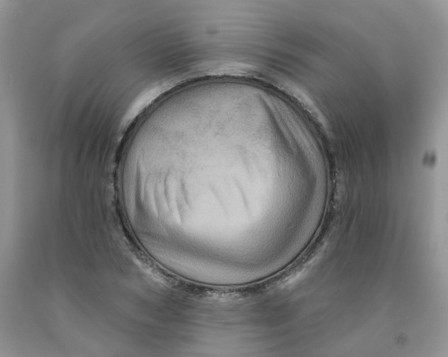 X0000091310978200709071110