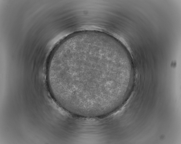 X0000091310979200709071110