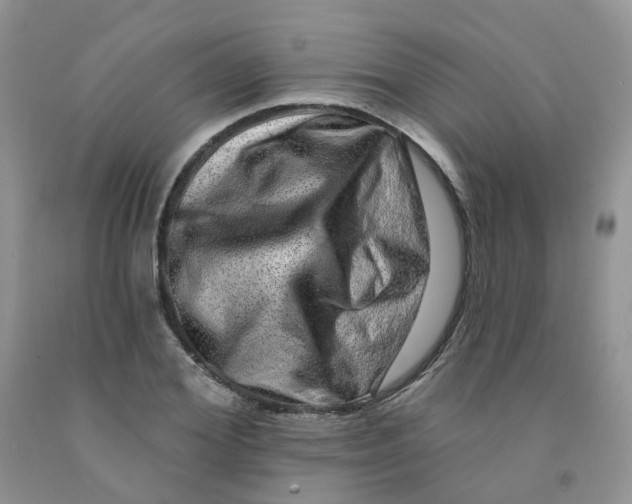 X0000091310980200709071110