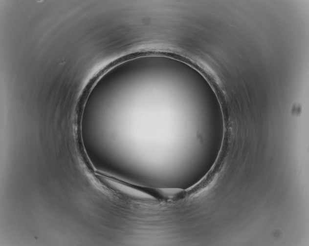 X0000091310981200709071110