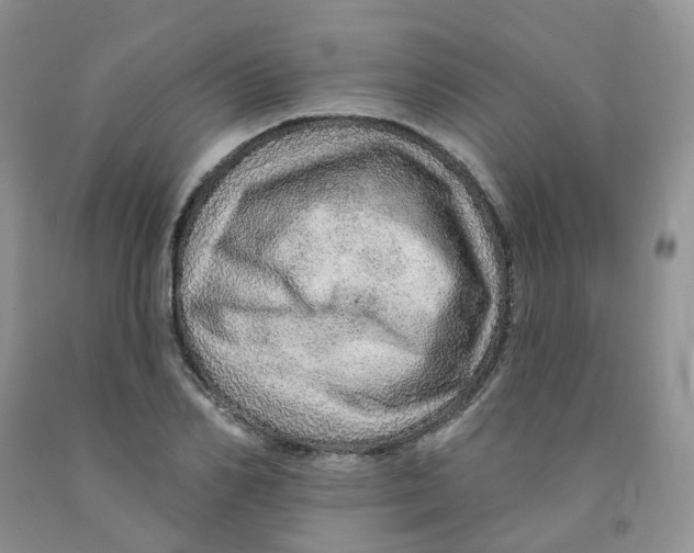 X0000091310982200709071110