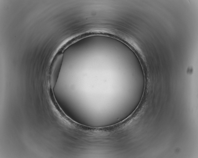 X0000091310984200709071110