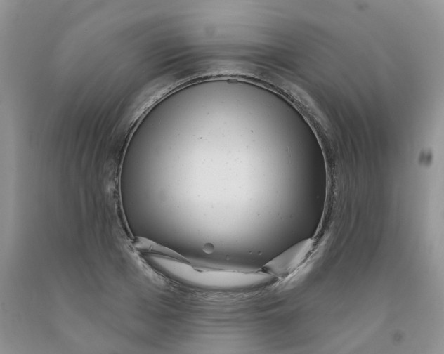 X0000091310985200709071110