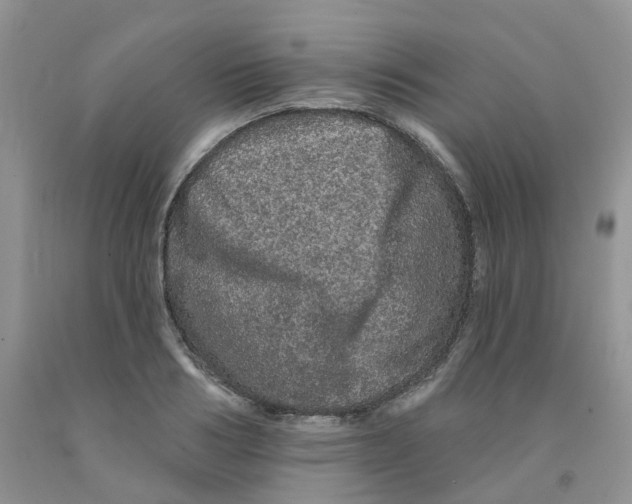 X0000091310986200709071110