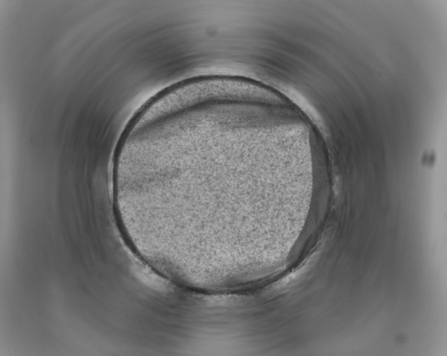 X0000091310988200709071110