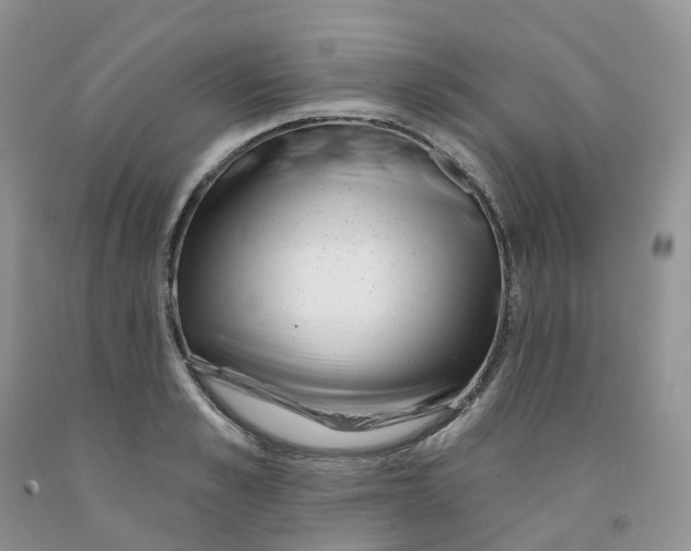 X0000091310989200709071110