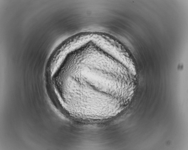 X0000091310990200709071110