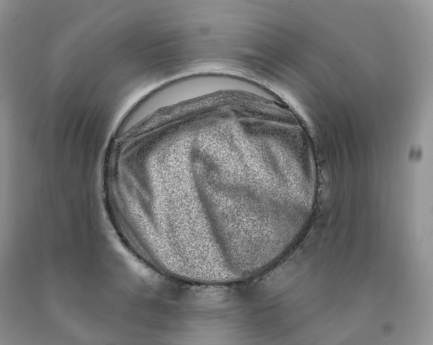 X0000091310991200709071110