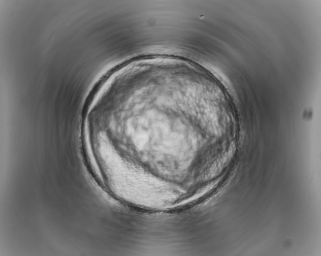 X0000091310992200709071110