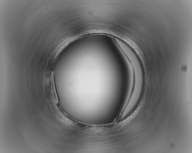 X0000091310993200709071110