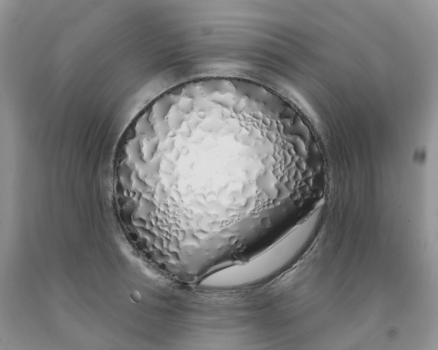 X0000091310994200709071110