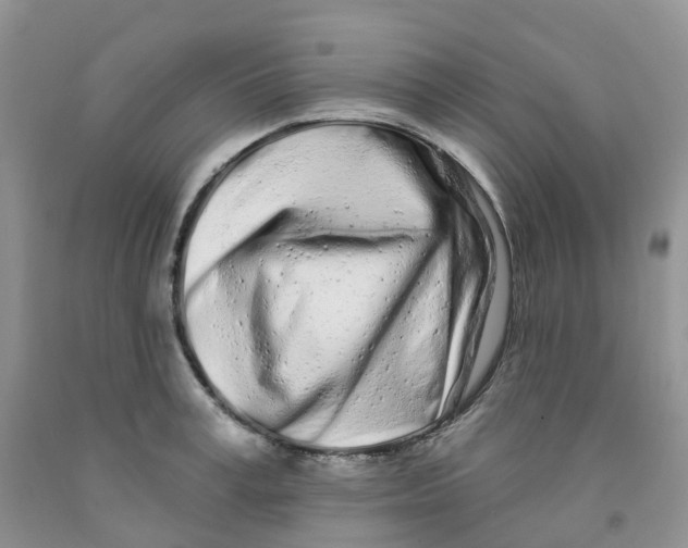 X0000091310995200709071110