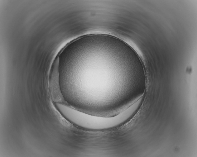 X0000091310996200709071110