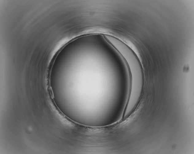 X0000091310997200709071110