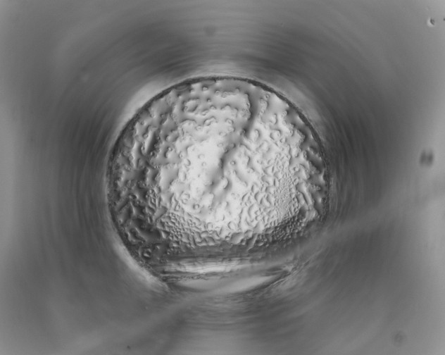 X0000091310998200709071110