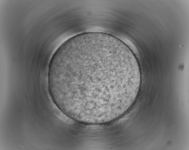 X0000091311000200709071110