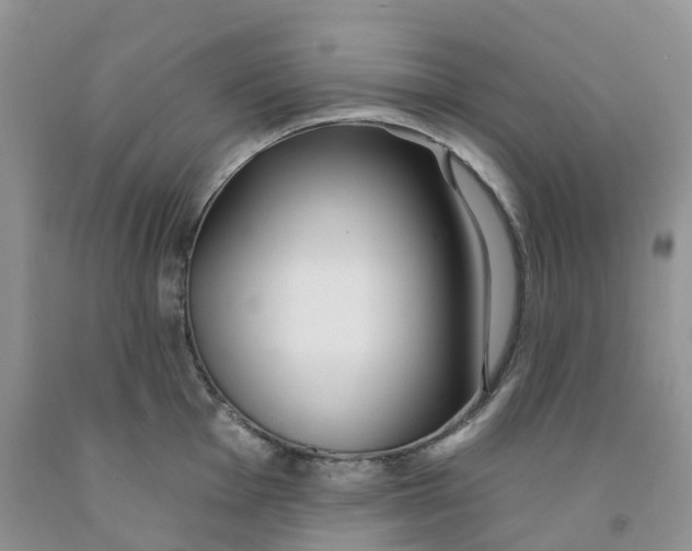 X0000091311001200709071110