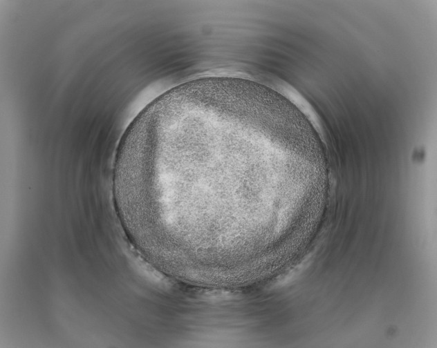 X0000091311002200709071110