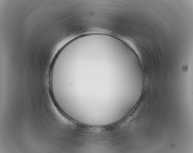 X0000091311003200709071110