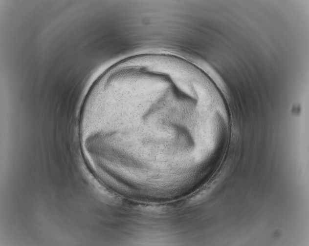 X0000091311004200709071110