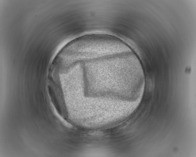 X0000091311006200709071110