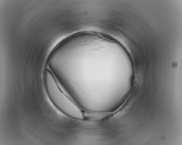 X0000091311007200709071110