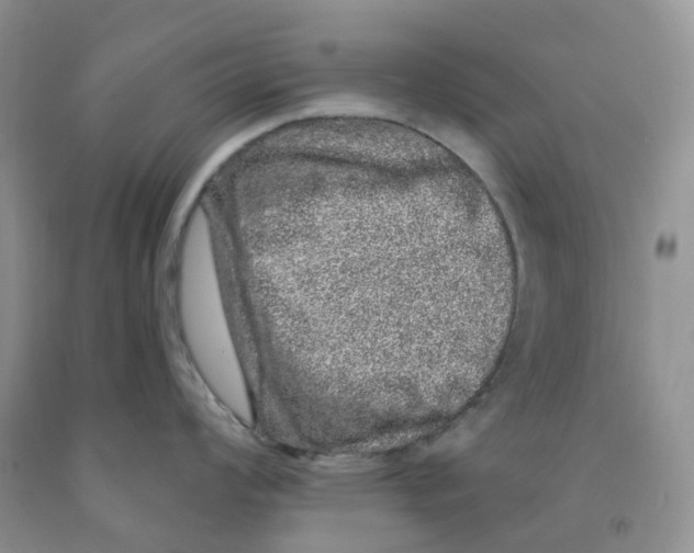 X0000091311008200709071110