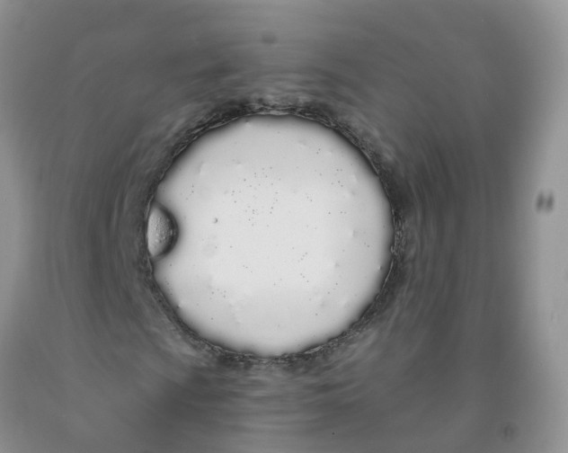 X0000091311009200709071109