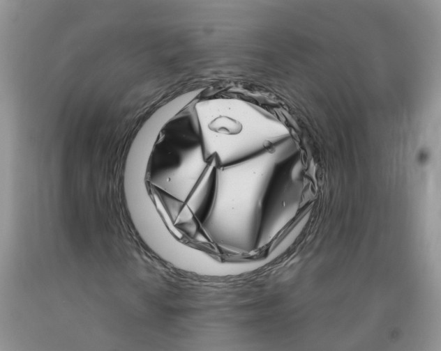 X0000091311010200709071109