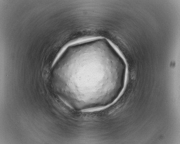 X0000091311011200709071109