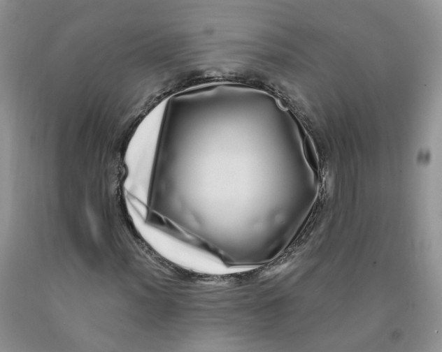 X0000091311012200709071109