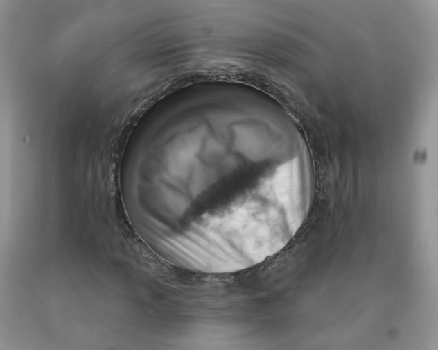 X0000091311013200709071109