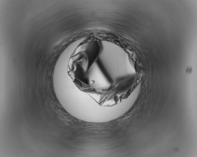 X0000091311014200709071109