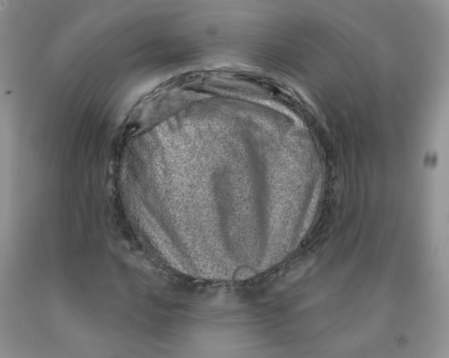 X0000091311016200709071109