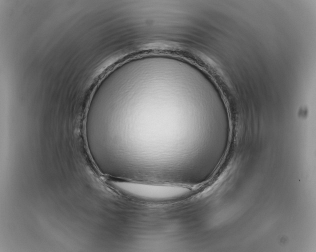 X0000091311017200709071109