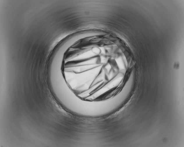 X0000091311018200709071109