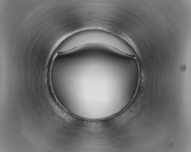 X0000091311020200709071109