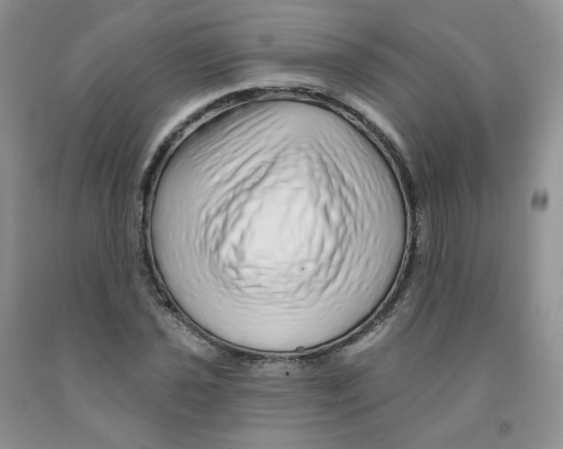 X0000091311021200709071110