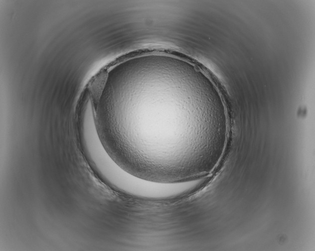 X0000091311022200709071110