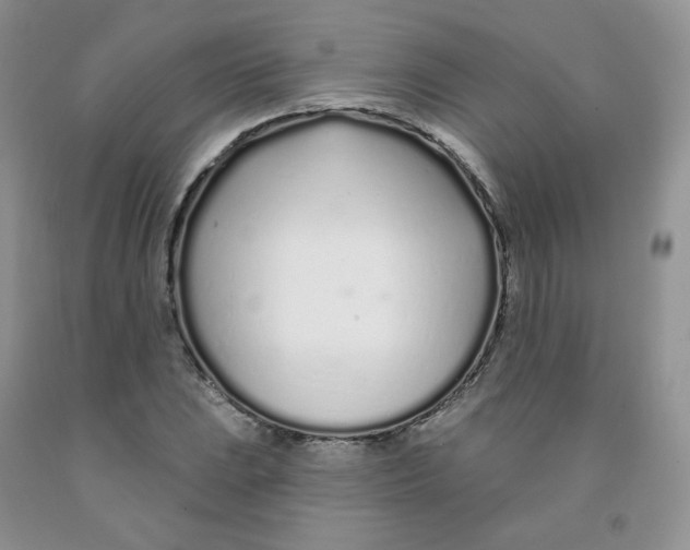 X0000091311023200709071110