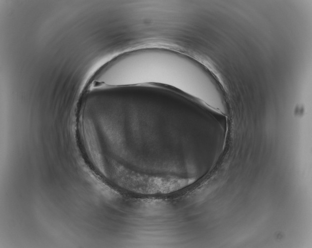 X0000091311024200709071110